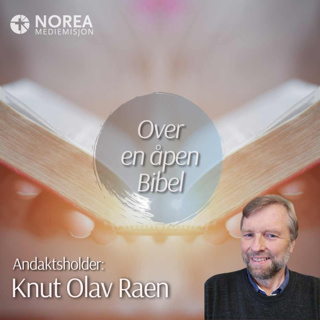 E2504 -5-Knut Olav Raen - Hvem sier dere at Menneskesønnen er