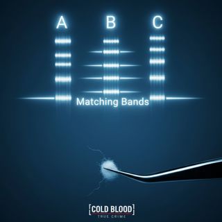 The ABC Killer Audit