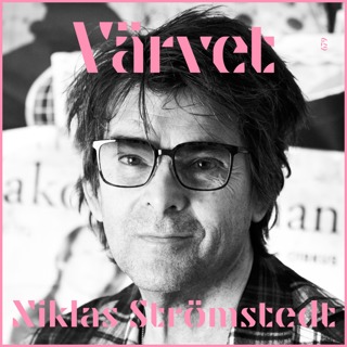 KORT Niklas Strömstedt: Kompgitarrist söker popband