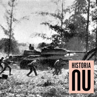 Grisbuktsinvasionen – att ärva en fantasi