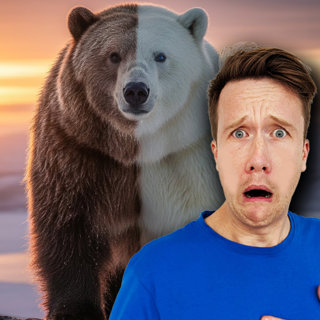 MEET THE GROLAR BEAR: Half Grizzly, Half Polar! đ»ââïžđ»