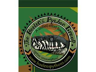Marc Spataro talks Boelen's pythons