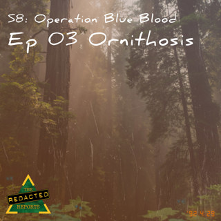 Blue Blood Episode 3 - Ornithosis