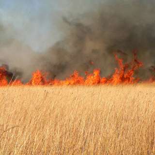 A Single Spark Can Start a Prairie Fire (January 1930) (Part One)
