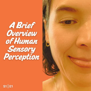 S1|E1 A Brief Overview of Human Sensory Perception