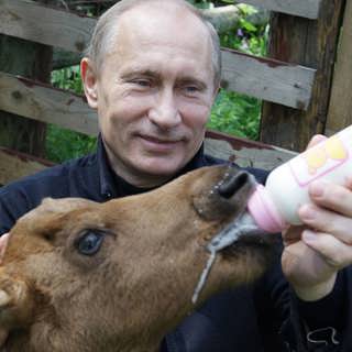 Macho-Putin och Rysslands framtid