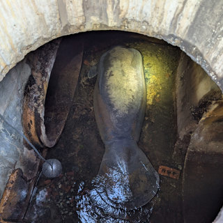 Manatee Rescue