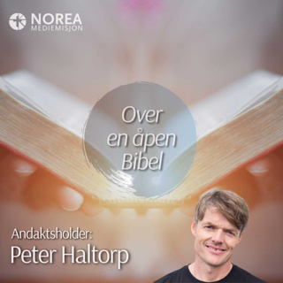 E2533 -1-Peter Haltorp - Din sky