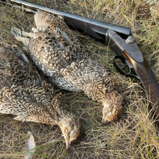 #256 | Vintage Doubles and Side by Side Shotguns with Doug Stewart
