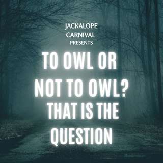 To Owl or Not to Owl? That is the Question.