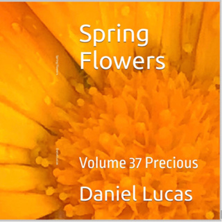 Spring Flowers Volume 37 Precious by Daniel Lucas