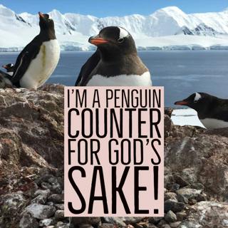 I'm a Penguin Counter for God's Sake!