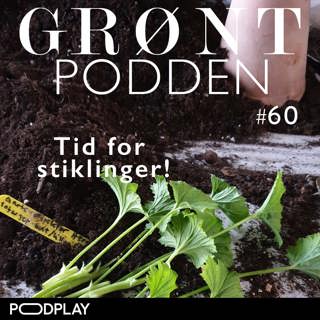 #60 Tid for stiklinger!
