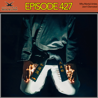 Episode 427 - Why Martial Artists Aren't Demoted