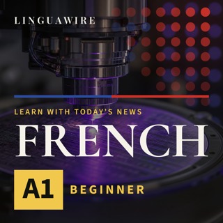 A1 French News | Can ASML's $400M Machines Lift Chip Output 40%?