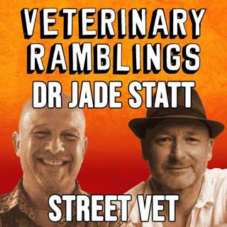 Ep 50: Homeless People And Their Pets With Dr Jade Statt From StreetVet