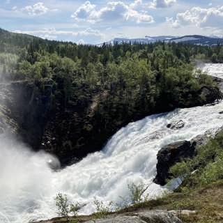 Forsdimmeskogens hemligheter och harrarnas kärleksstund