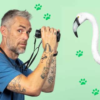 Alma och alla djuren