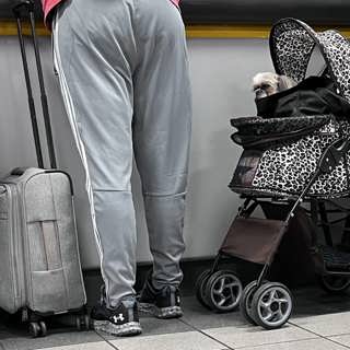 Därför minskar barnafödandet | Ring P1 reder ut