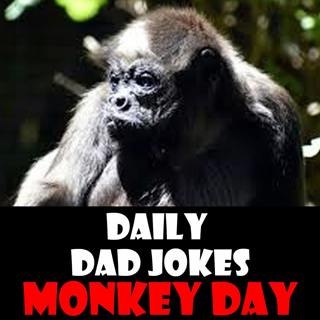 Monkey Day! 14 December 2025