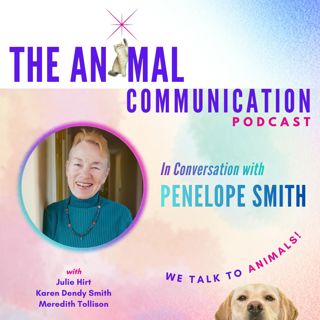 In Conversation with Penelope Smith