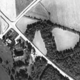 Avsnitt 27 - Från Skog till Skogbete, lönsamt?