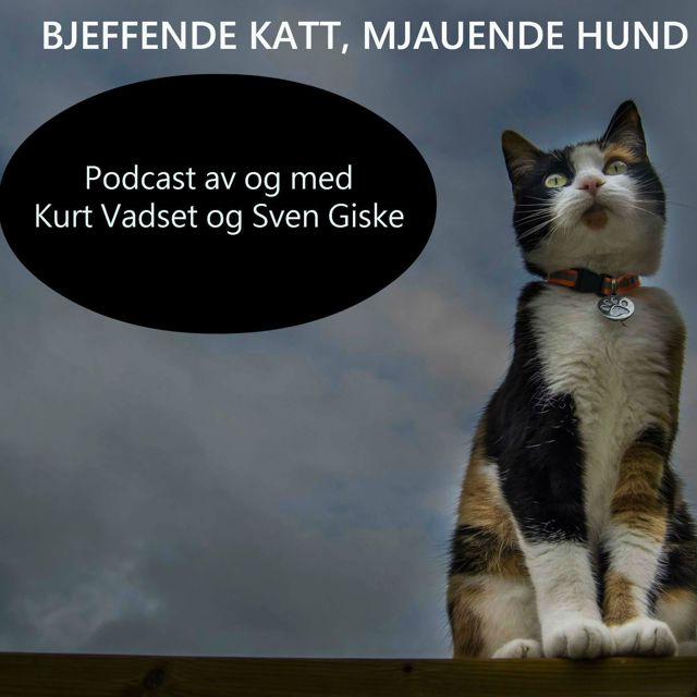 Bjeffende katt, mjauende hund