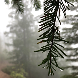 Episode 83: Late Summer Rain