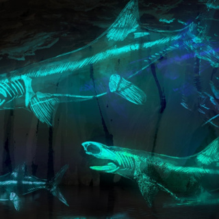 The Strangest Fossils Discovered Beneath The Earth