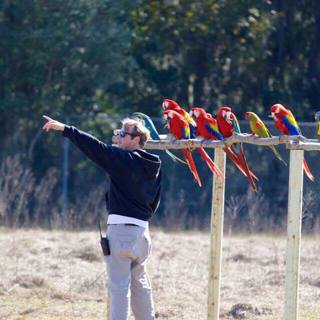 Free flight Macaws & interpersonal relationships – Chris Jenkins (COO of Natural Encounters, Orlando, Florida). – .