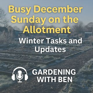 🎧 ❄️ Busy December Sunday on the Allotment | Winter Tasks & Updates