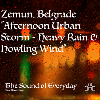 Rain & Windswept: Urban Weather Soundscape (Stereo) - Relaxing Nature Sound