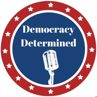 Introducing Democracy Determined | TDG Fellowship