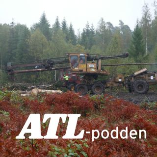 Tobak, timmer och timjan
