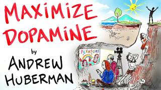 How to Maximize Dopamine & Motivation - Andrew Huberman | After Skool