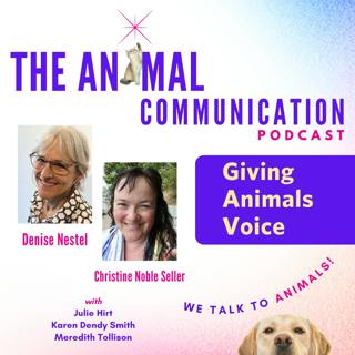 Giving Animals Voice