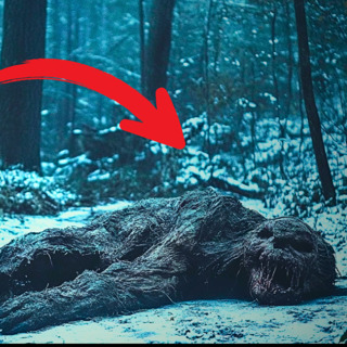 14 TRUE SCARY PARK RANGER & DEEP WOODS HORROR STORIES