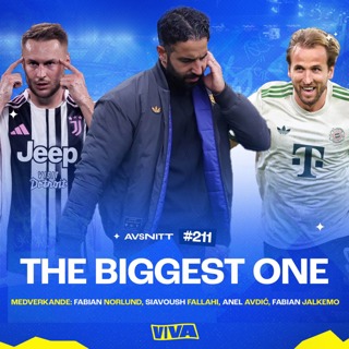 #211 The biggest one