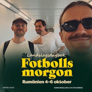 Landslagsdagboken: Rumänien borta (Första nollan på 487 dagar)