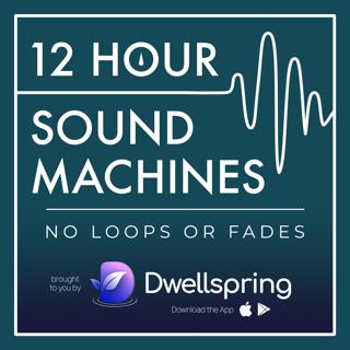 Frying an Egg Sound Machine (12 Hours)