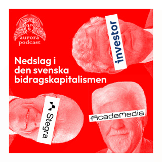 Nedslag i den svenska bidragskapitalismen