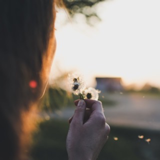 Best of Awake in the World: Seals, Owls, and Letting Go of Destructive Relationships