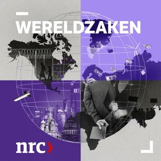 Het gevaar van een halfslachtige vrede in Oekraïne