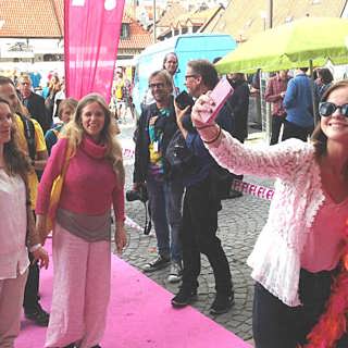 Min granne, partiledaren – Gudrun Schyman och Österlen