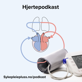 Hjerteprat
