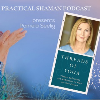 Pamela Seeling Interview w/ The Practical Shaman