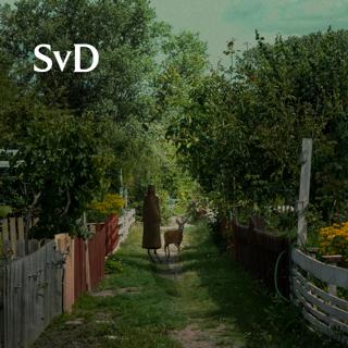 Anna ”Jag känner mig inte välkommen längre”