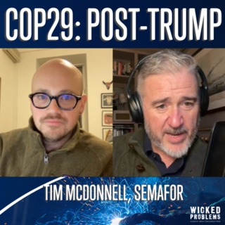 COP29: After the Trump Win
