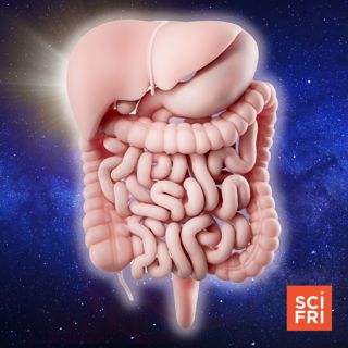 The Gurgling, Growling History Of The Gut