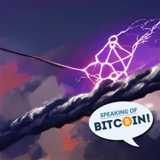 SOB: Exploring Bitcoin’s Lightning Network